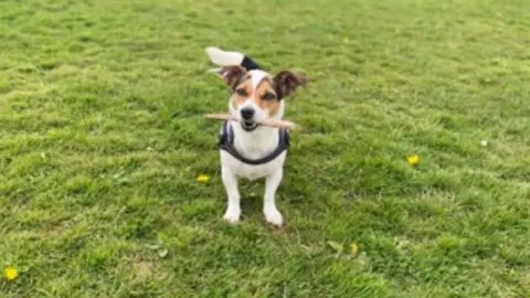 Twfrs Maddy outside with a stick