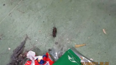 HMIP A dead cockroach