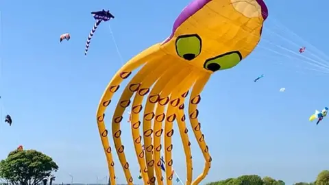 Visit East Yorkshire Octopus kite