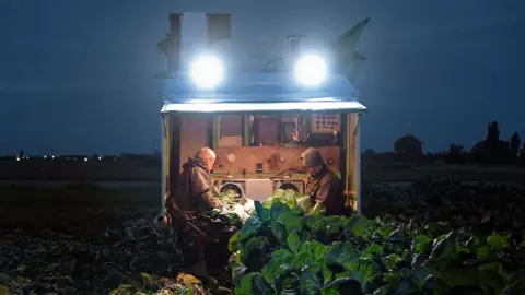 T H Clements Pickers working at night