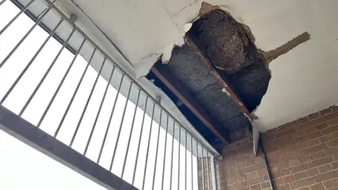 Olivia Richwald/BBC estate