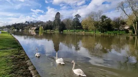 Souldonuts This line of swans swimming through Reading was captured by weather watcher Souldonuts