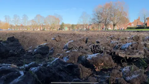 Harry Parkhill/BBC Churned up grass in Boston's Central Park.