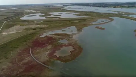 Jeff Kew/RSPB General view