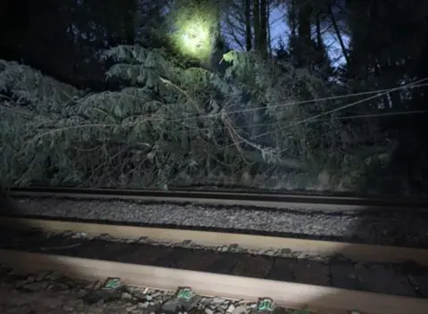 Network rail A fallen tree blocks the railway line at Beattock