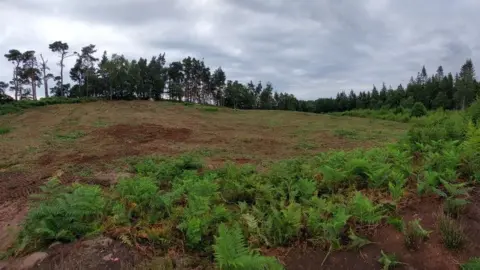 Shropshire Council  Site