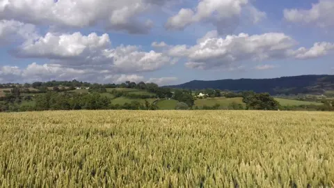 Rebecca Batt The walk between Caerleon and Usk