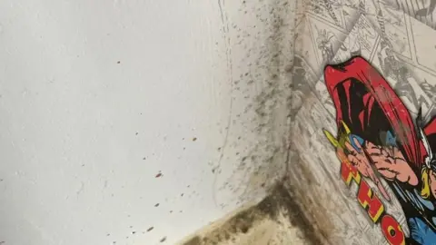 Stacey Lamb Black mould