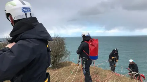 RSPCA CYMRU Rescuers at work