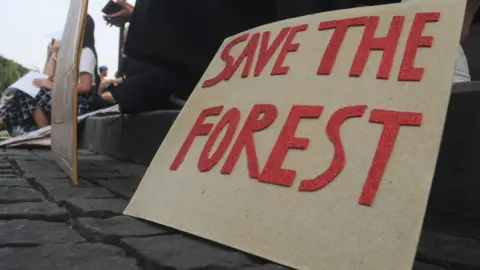 Getty Images Protest against deforestation in Jakarta