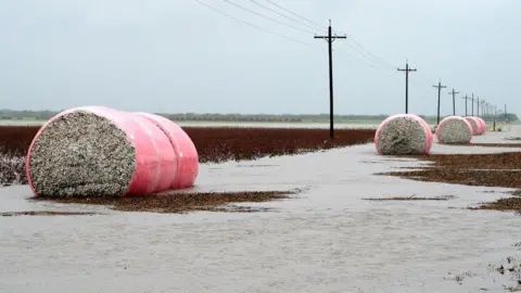 Reuters bales of cotton