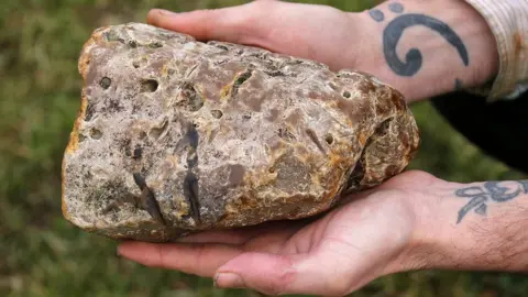 APEX whale dung stong