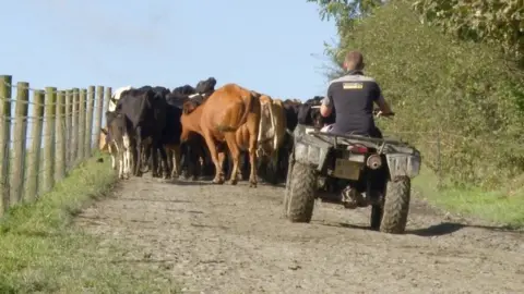 BBC/Sidney Street Productions Photo of young farmer herding cows