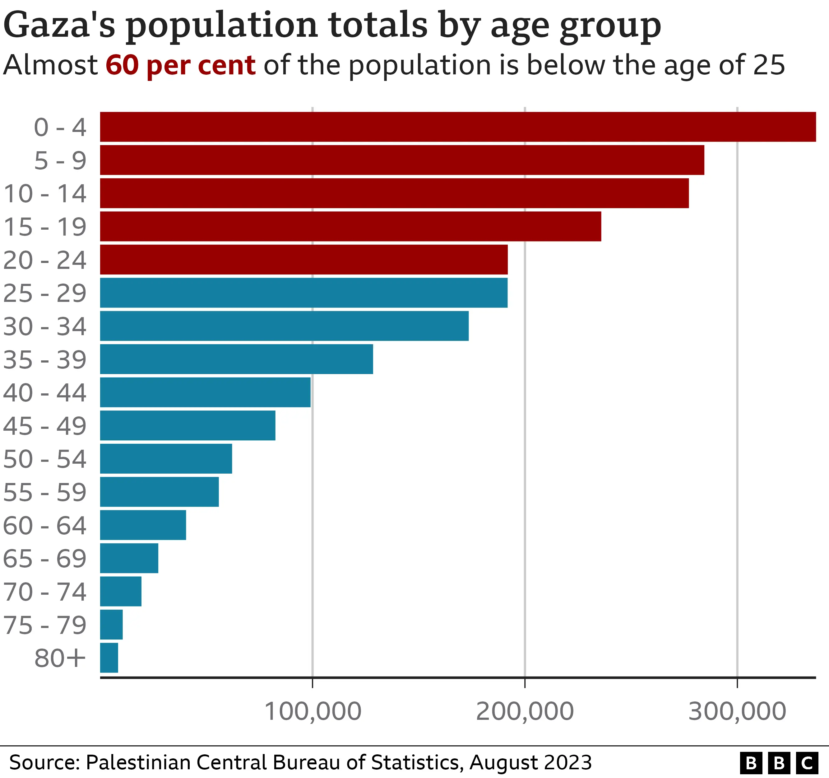 A chart showing the population of Gaza by age group. Gaza has a young population with almost 60% of the population under the age of 25