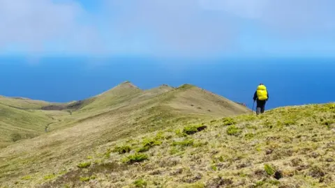 Lucy Dorman A woman walks along the cliffs in Gough island