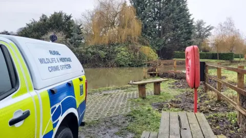 Essex Police Essex Police at the pond where four swans were shot dead