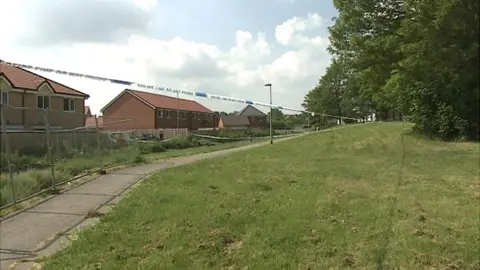 BBC The grassland area where the assault took place