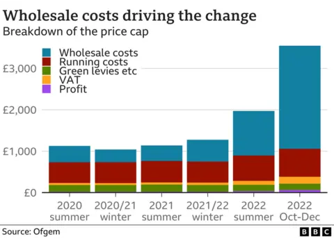 Bar chart showing what costs are included in your energy bill