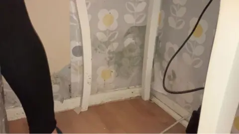 Guy Campbell/BBC Mould in corner of room