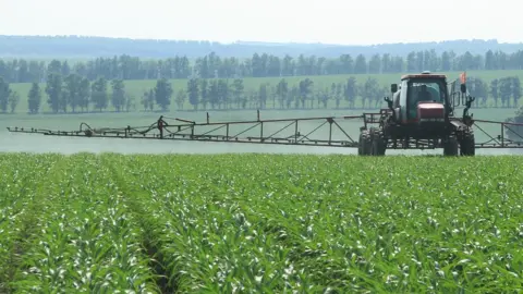 Why firms are racing to produce green ammonia