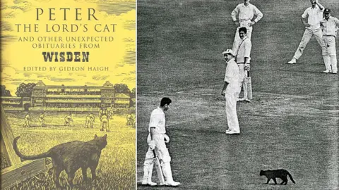 Wisden Peter the Lord's cat