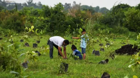 Getty Images tree planting