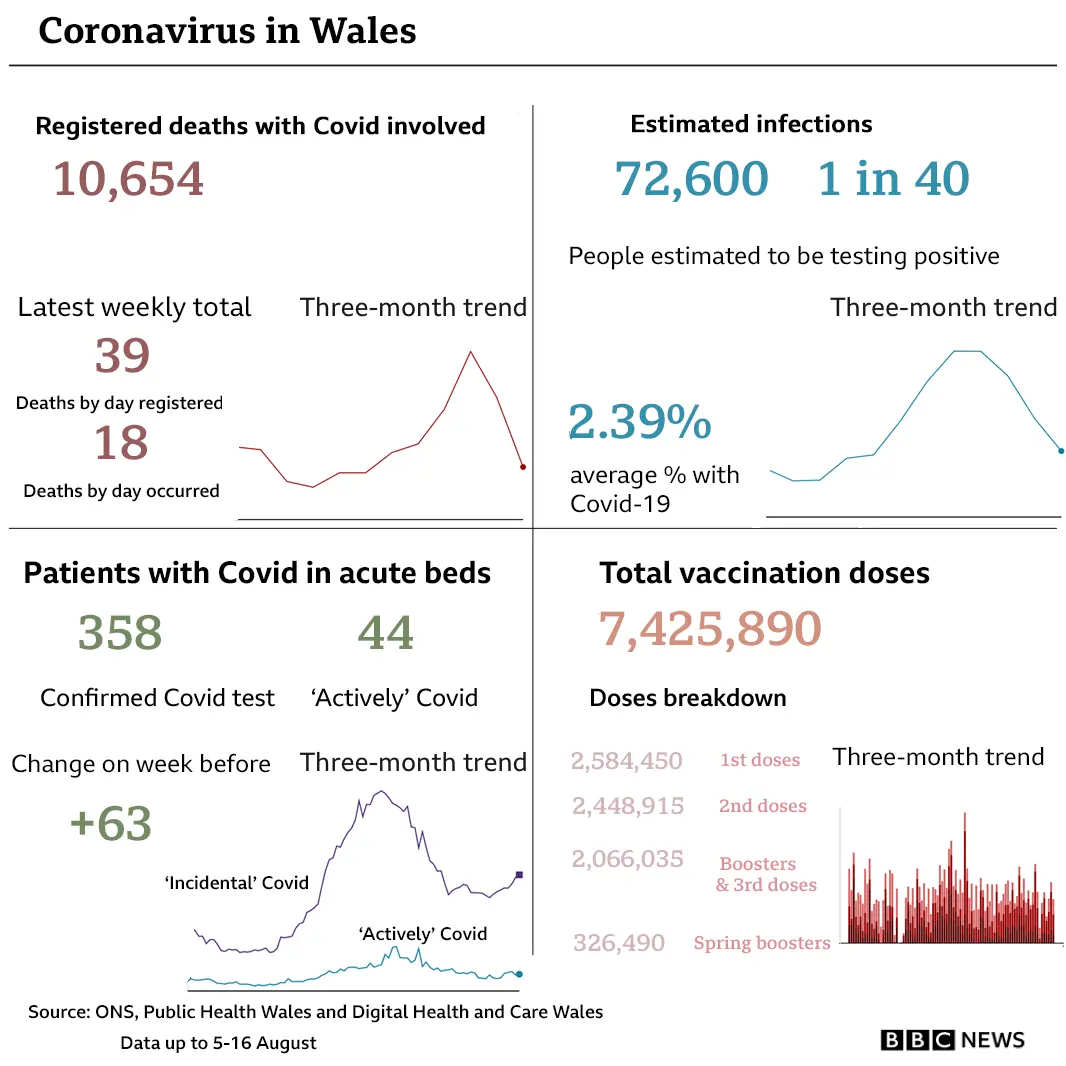 Summary of Covid headline figures