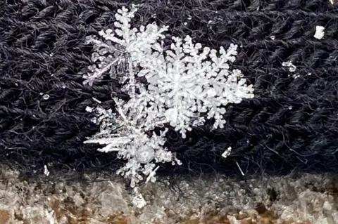 Liam Kenward/BBC Weather Watchers Loose in Kent