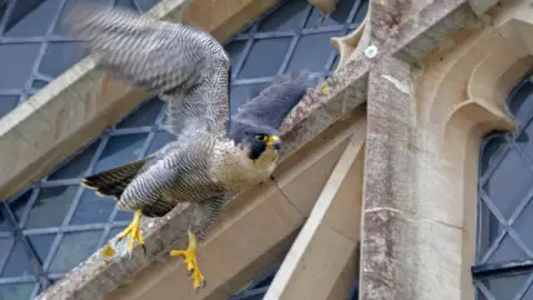 Steve Grundy Mel at Winchester Cathedral