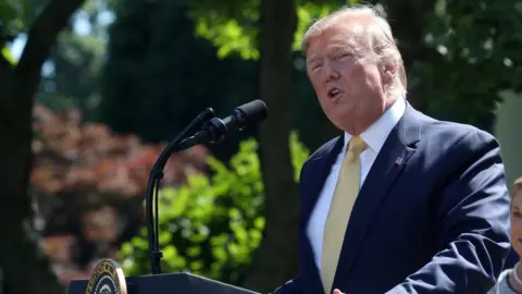 Getty Images U.S. President Donald Trump speaks about expanding healthcare coverage for small businesses in the Rose Garden of the White House on June 14, 2019 in Washington, DC