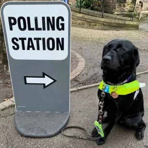 @Imogen_OT Sam the guide dog contemplates the future in York