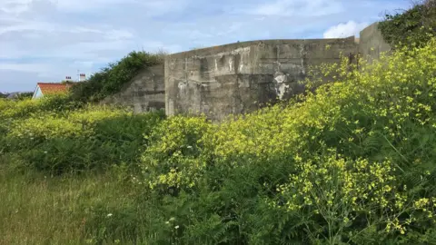 Jason Mitchell The bunker before work on the structure began.