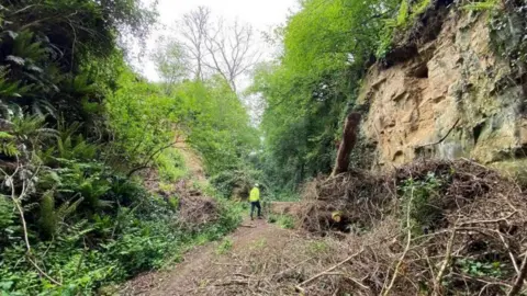 Somerset Council Chinnock Hollow following the landslide in 2021