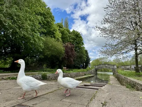 Esther Johnson MONDAY - Iffley Lock