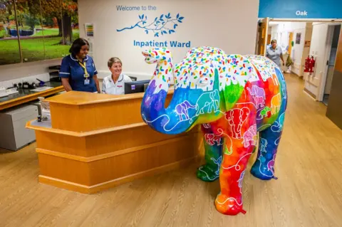 LOROS Elephant sculpture in hospice reception