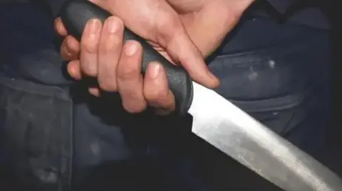 A close-up of someone holding a large knife behind their back