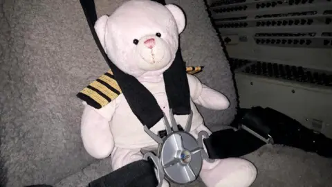 Loganair Teddy on plane