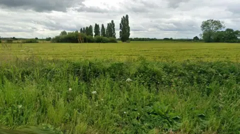 Google Image shows fields with large trees in the distance, hedgerows and plants