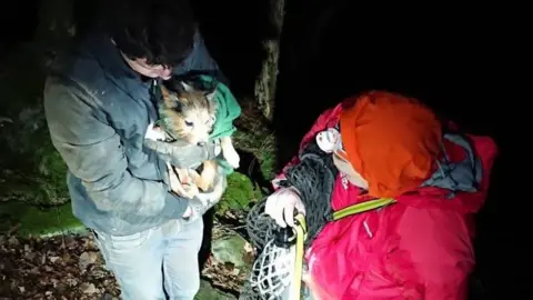 Keswick Mountain Rescue Team The rescued dog