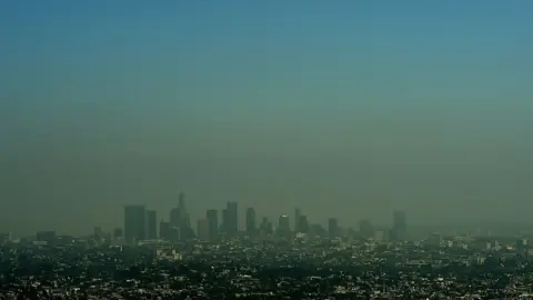 MARK RALSTON/Getty Images Los Angeles