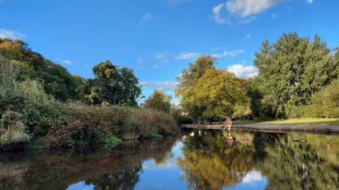 Craig Gamble Leaves of trees turning to autumn colours in Ward Park in Bangor