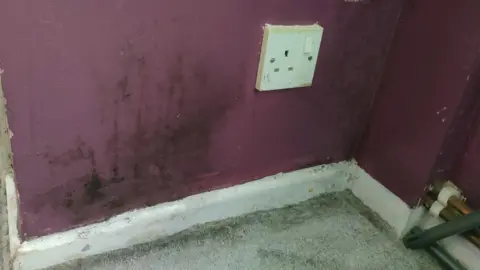 BBC Mould on the walls of the woman's home in Ballymena