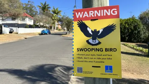 Brisbane City Council A magpie warning sign in Brisbane