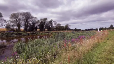 Anglian Water Ingoldsisthorpe Wetlands in 2019 in Norfolk