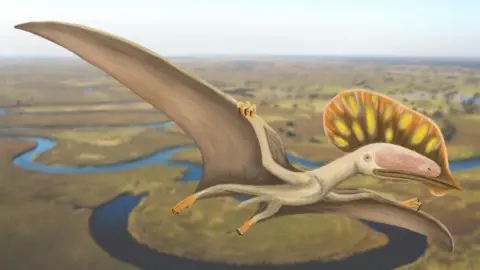 Megan Jacobs Artist's impression of the Isle of Wight pterodactyl