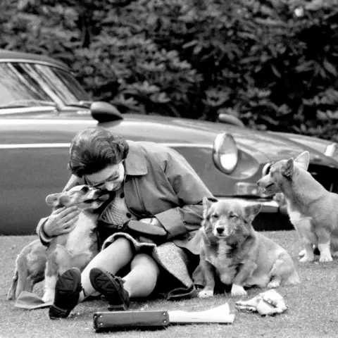 PA Media With her corgis