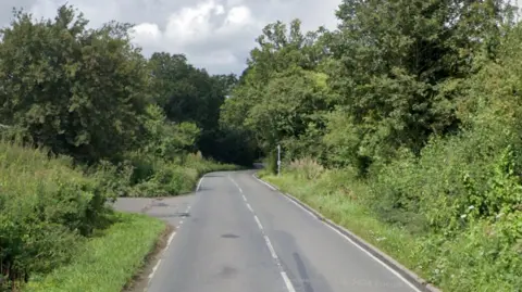 A Google Street image of a road with dense green foliage either side.