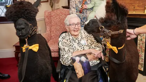 Annie, in glasses, is sitting in a chair in a patterned shirt with an alpaca either side of her and a card from the King in her hand