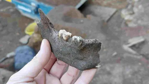 Oxford Archaeology The disarticulated human jaw bone discovered by the archaeologists