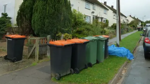 Basher Eyre/Geograph Rubbish bins